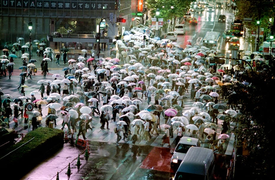 Lees meer over het artikel Het Water Komt; kunnen we blijven of moeten we gaan?
