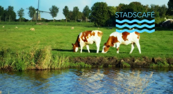 Stadscafe 6 verdwijnt de koe uit de polder